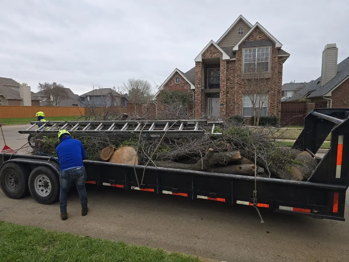 Expert Tree Pest Control with proper safety equipment in Shoreham